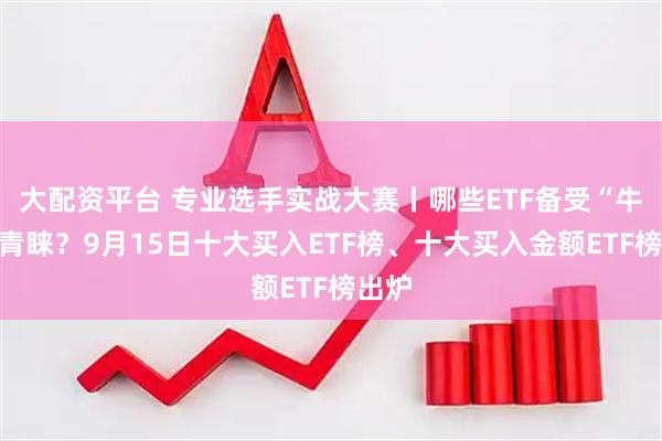 大配资平台 专业选手实战大赛丨哪些ETF备受“牛人”青睐？9月15日十大买入ETF榜、十大买入金额ETF榜出炉