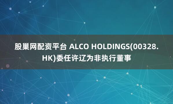股巢网配资平台 ALCO HOLDINGS(00328.HK)委任许辽为非执行董事