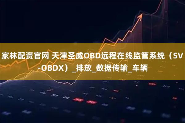 家林配资官网 天津圣威OBD远程在线监管系统（SV-OBDX）_排放_数据传输_车辆